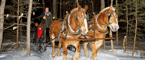 sleighrides