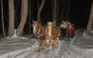 sleigh rides