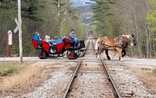 Wagon being pulled by horses