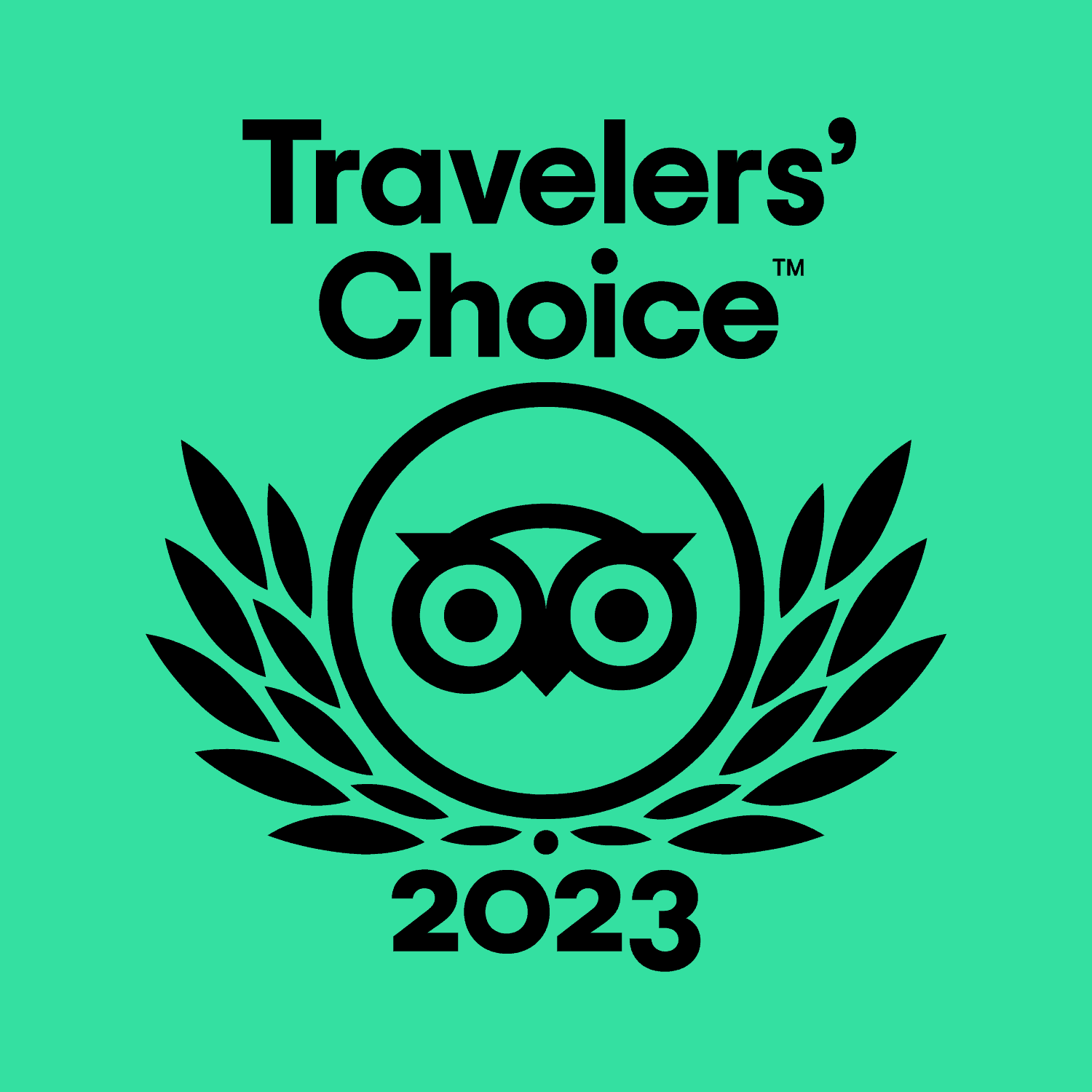 Tripadvisor Traveler's choice award