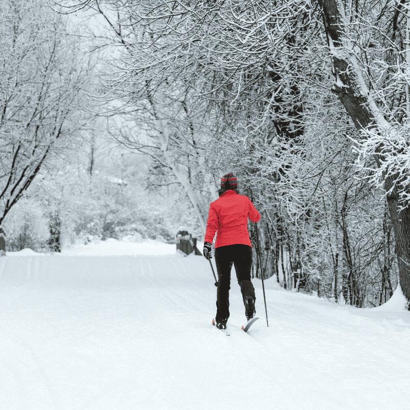 cross country skiing in the white mountains